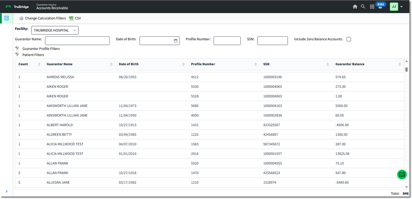 guarantor_balance_inquiry_screen