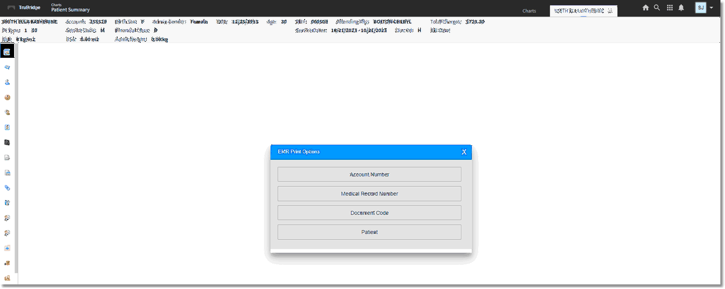 ehr options