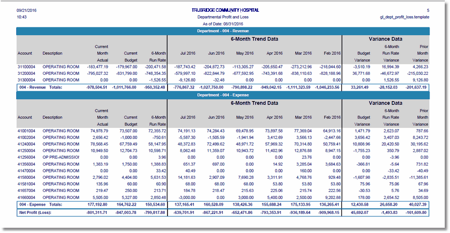 departmental_profit_and_loss_report