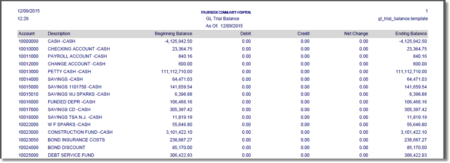 Trial_Balance_Report_Writer