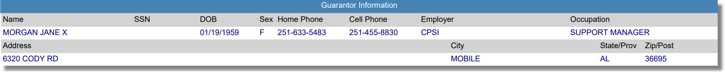 pt info gurantor