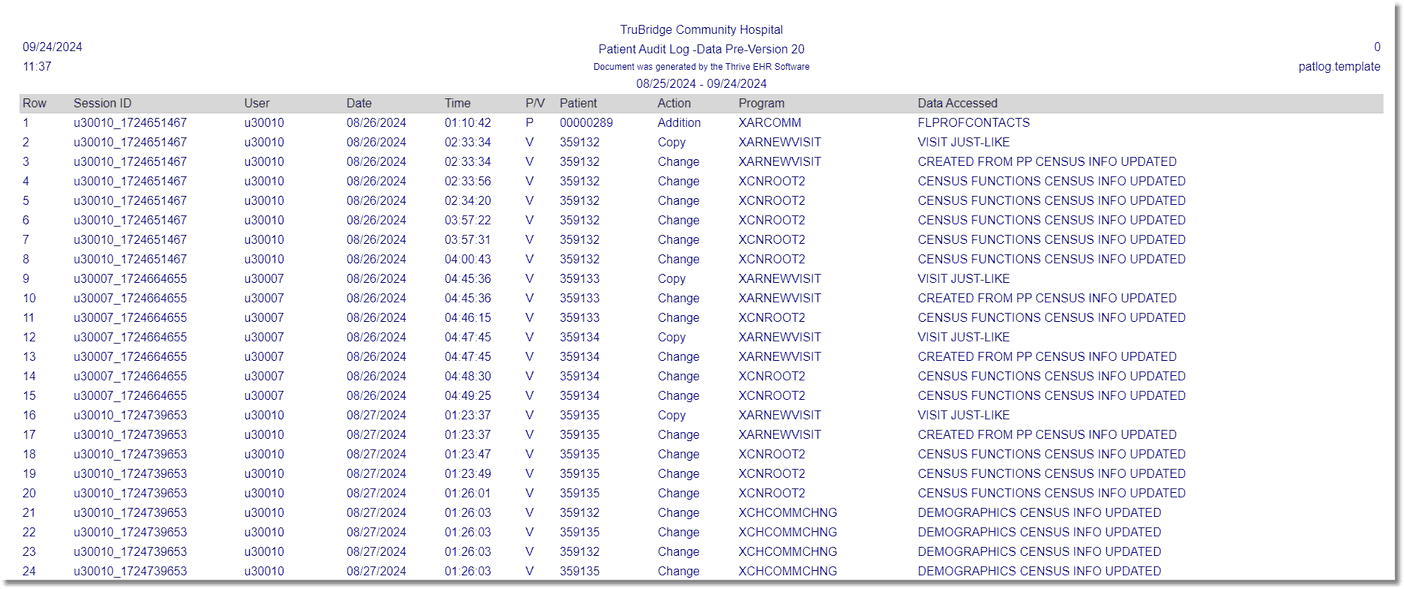 wc pt audit log pre 20 report